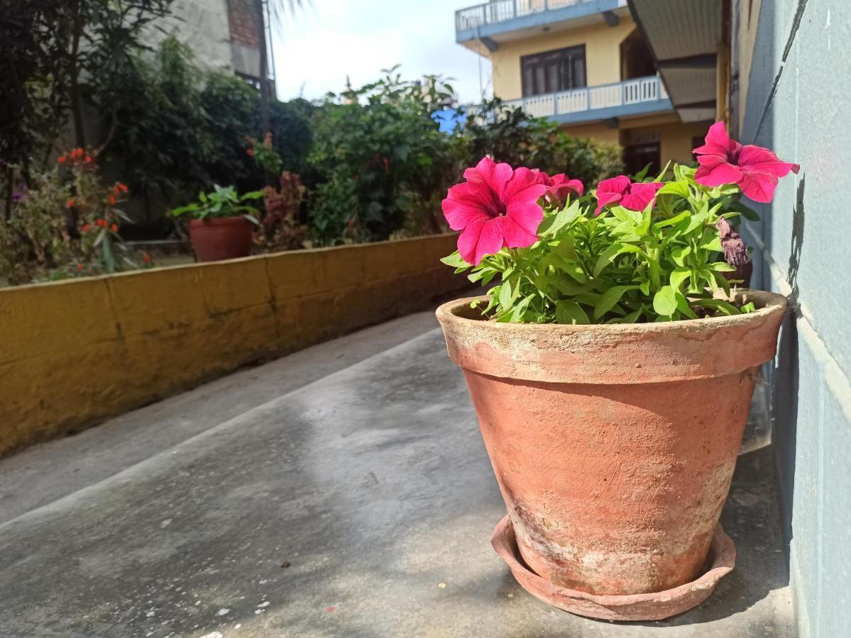 Pushpa Guest House Pokhara Eksteriør billede